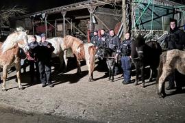 Am späten Mittwochabend (8. März) waren Beamtinnen und Beamte der Bundespolizeiinspektion München im Bereich Mammendorf im Einsatz, da neun Pferde von einer Pferdekoppel, welche sich in der Nähe der Bahnschienen befindet, entlaufen waren. Ein eingesetzter Polizeihubschrauber konnte die Pferde lokalisieren.